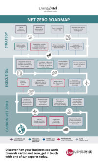 Net Zero Roadmap for Businesses