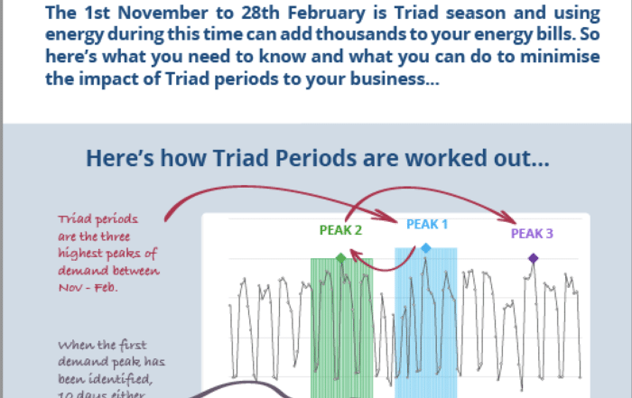 Triad Season Infographic