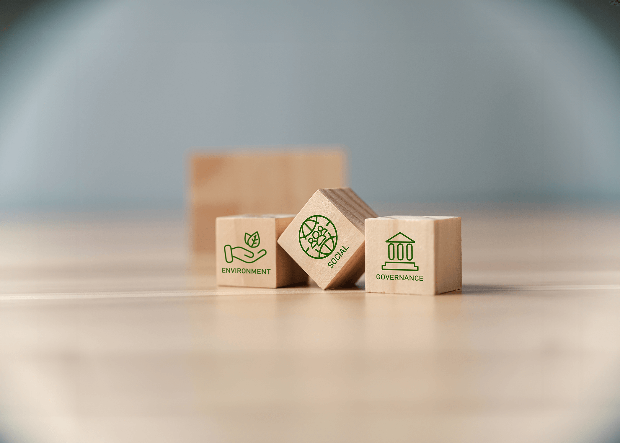 ESG social strategy