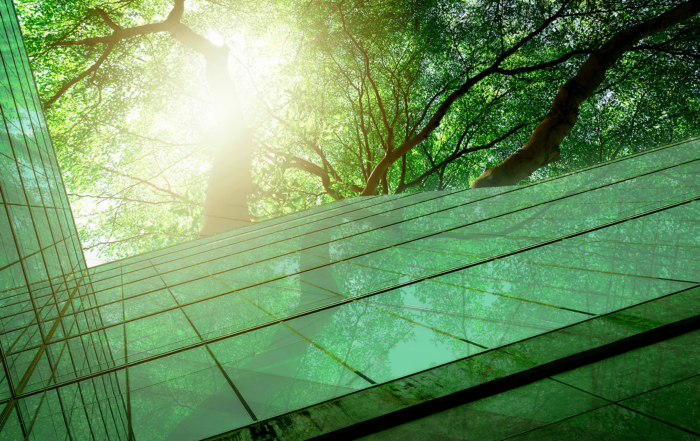 ESG environmental strategy