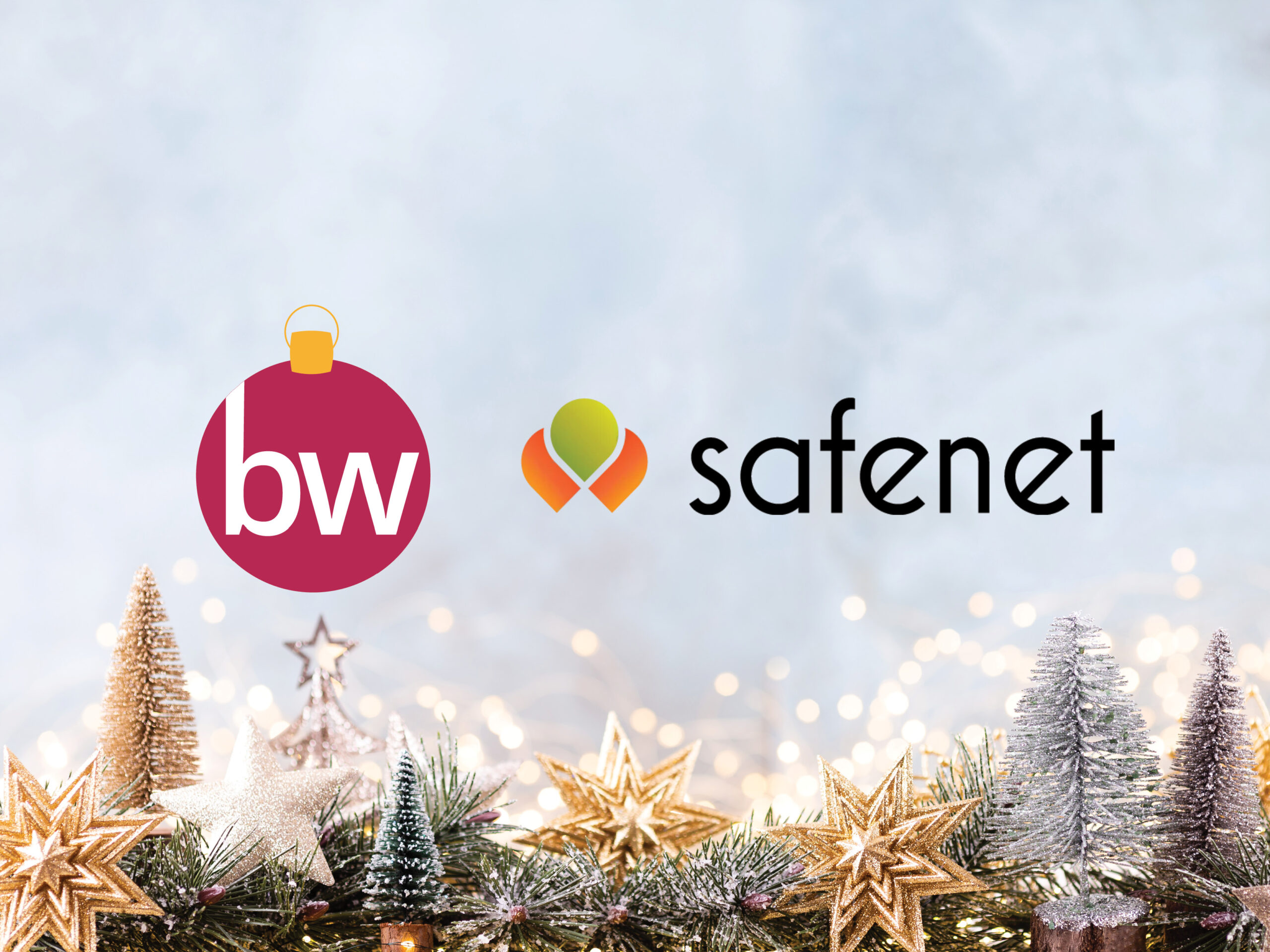 Safenet and Businesswise Solutions Christmas charity