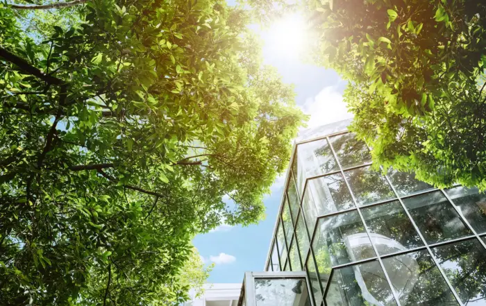 Energy Conservation vs Energy Efficiency