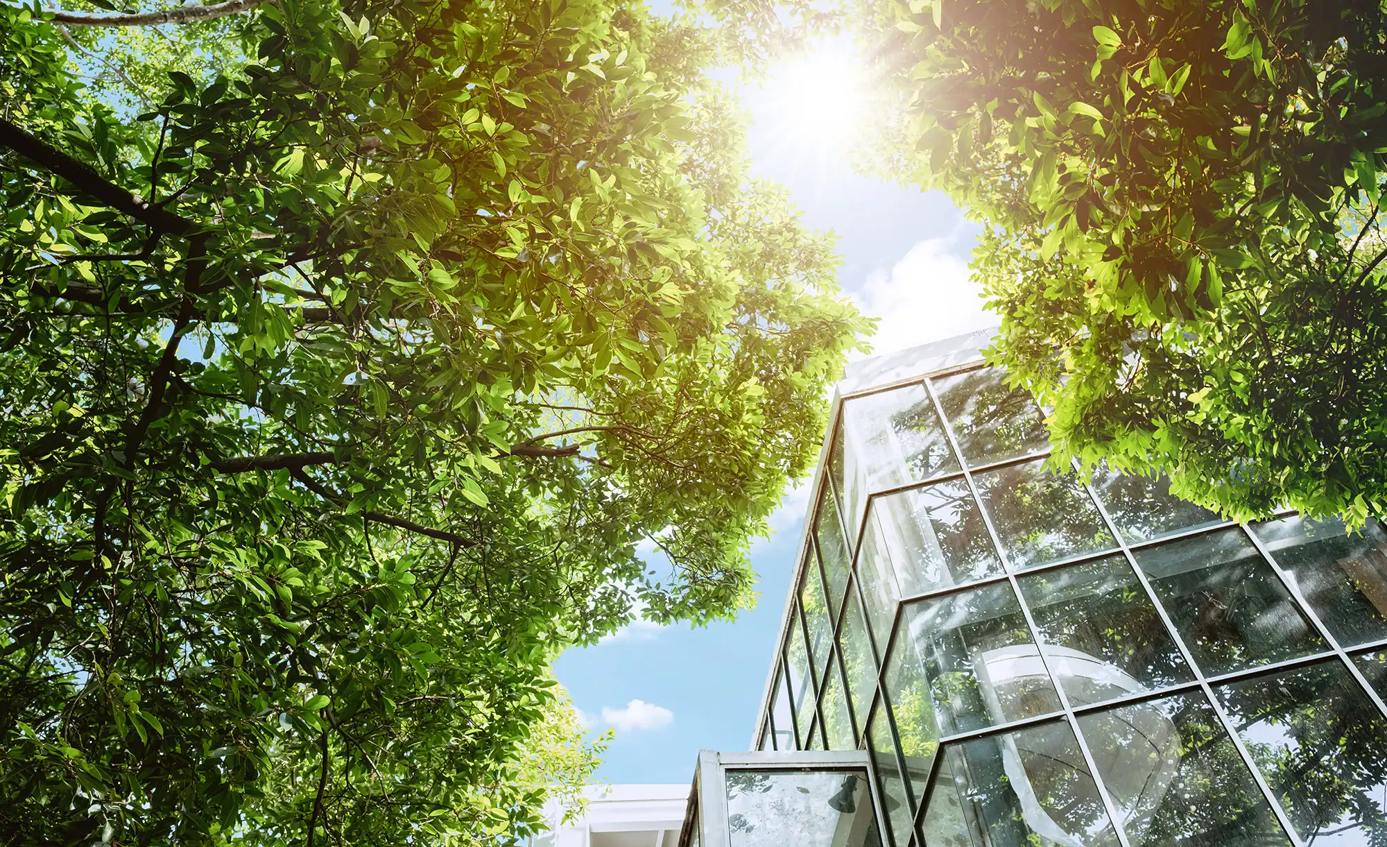 Energy Conservation vs Energy Efficiency