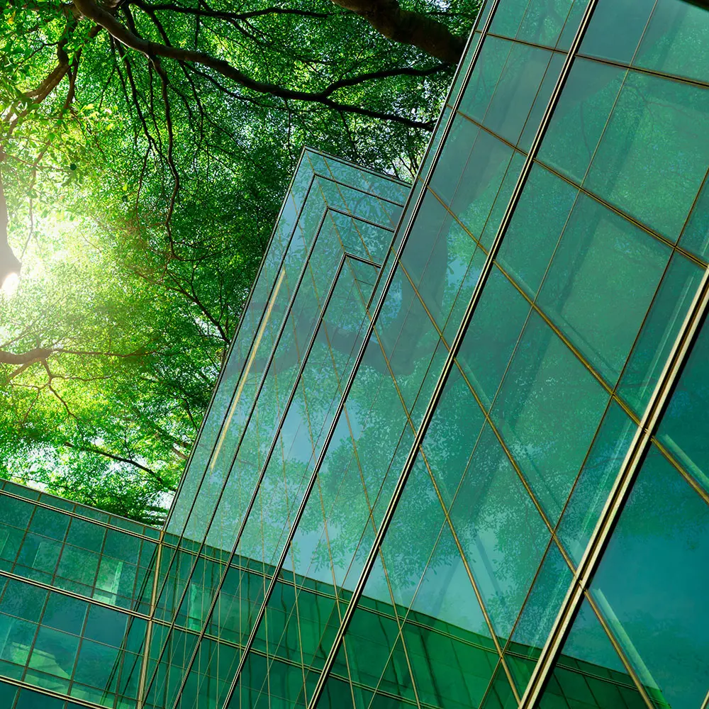 EMaaS consult - net zero