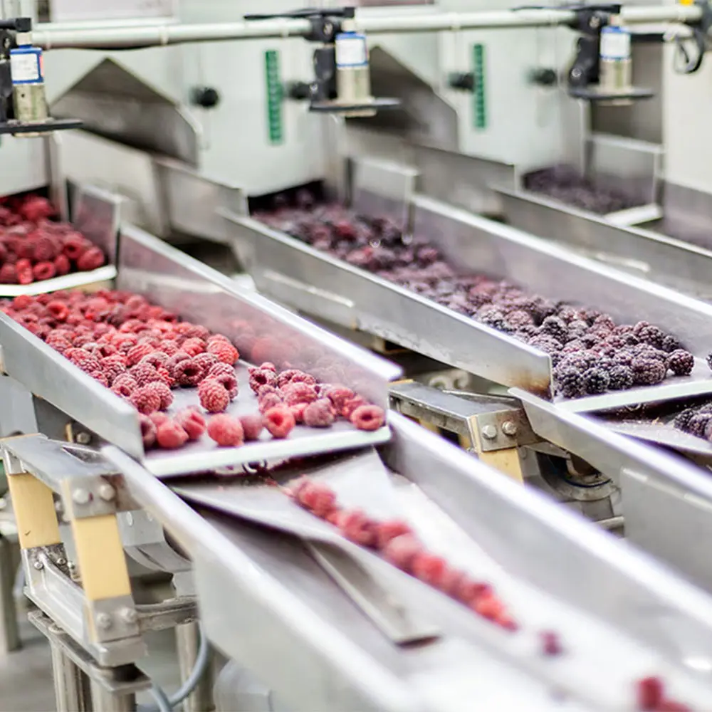 Cold chain energy consultant Cold chain energy consultant