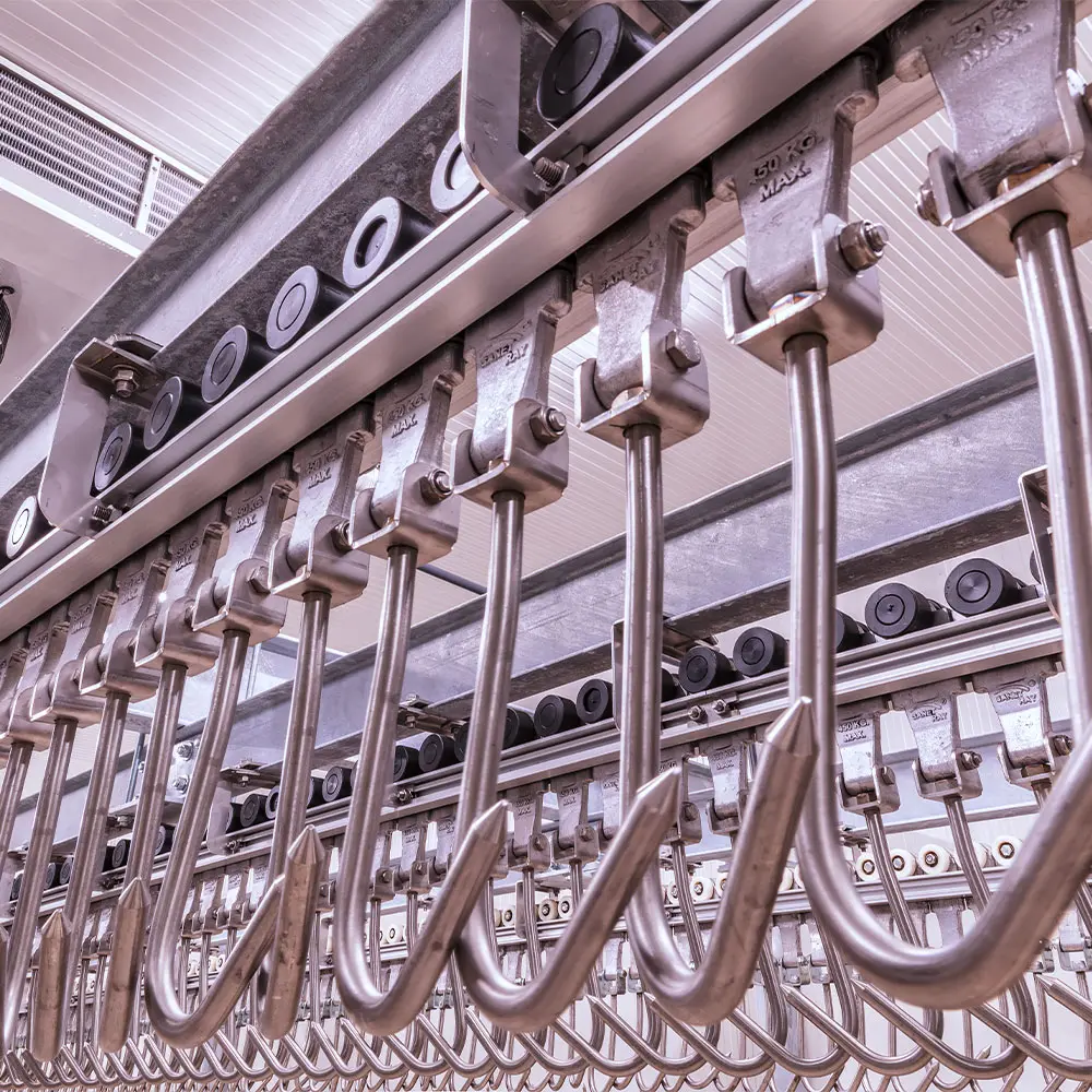 Cold storage energy consultant