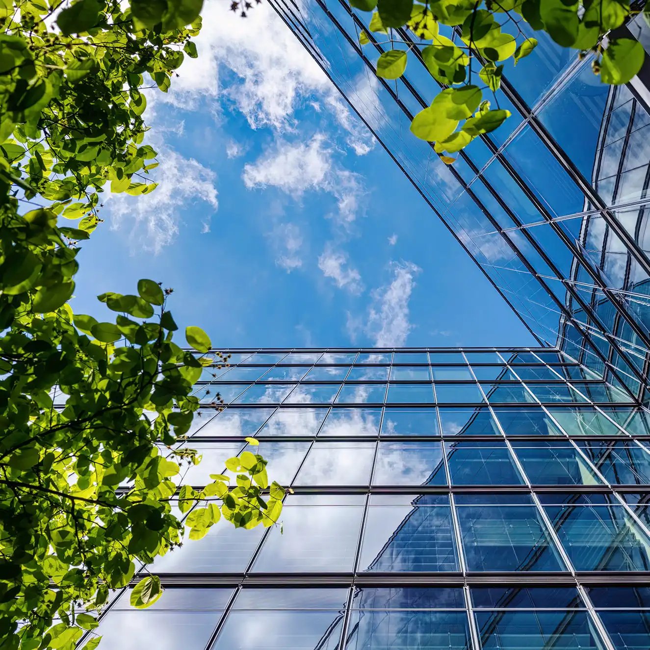 Book an Energy Exposure Assessment