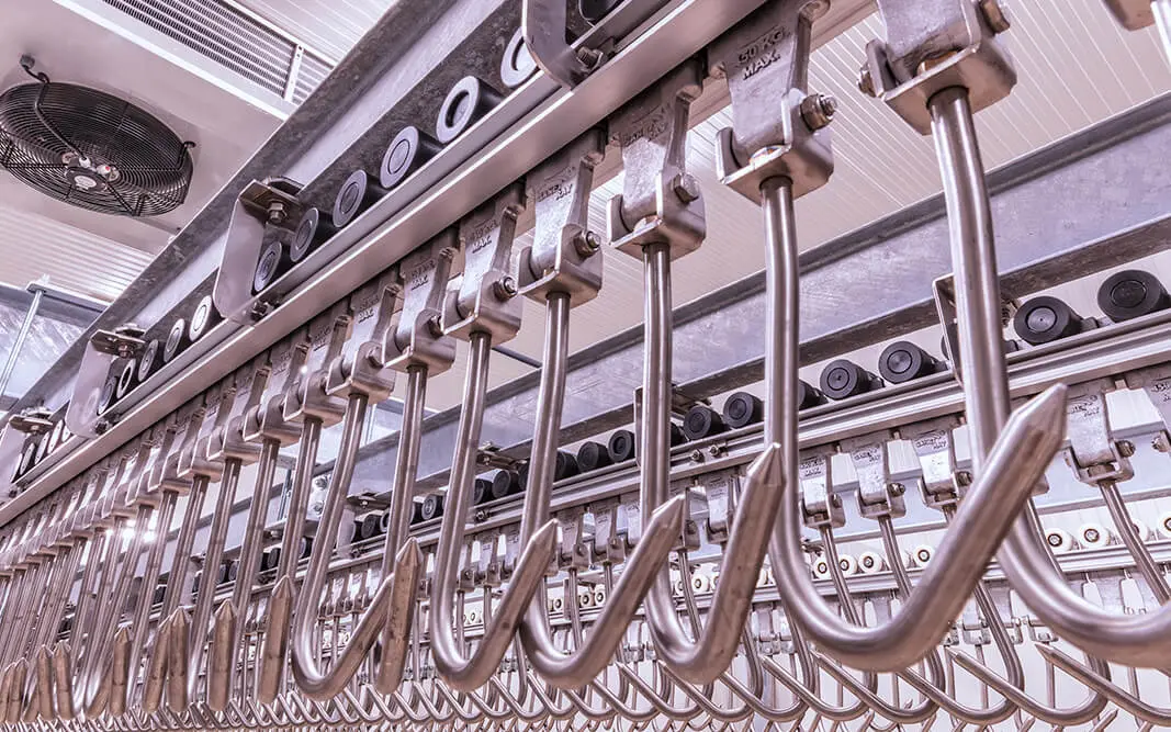 cold storage energy consultant