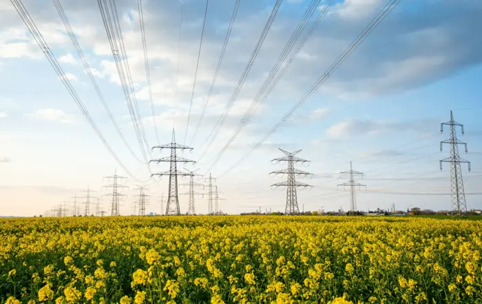 energy consultant procurement services