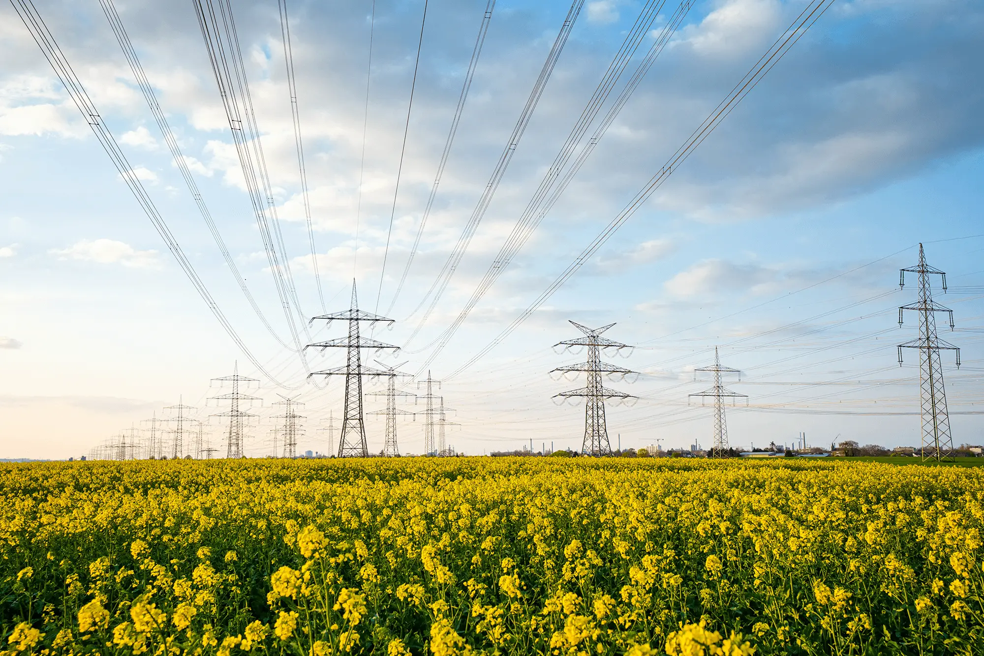 energy consultant procurement services