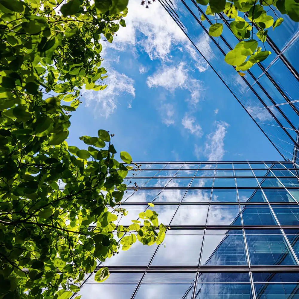 multi site portfolio energy consultant