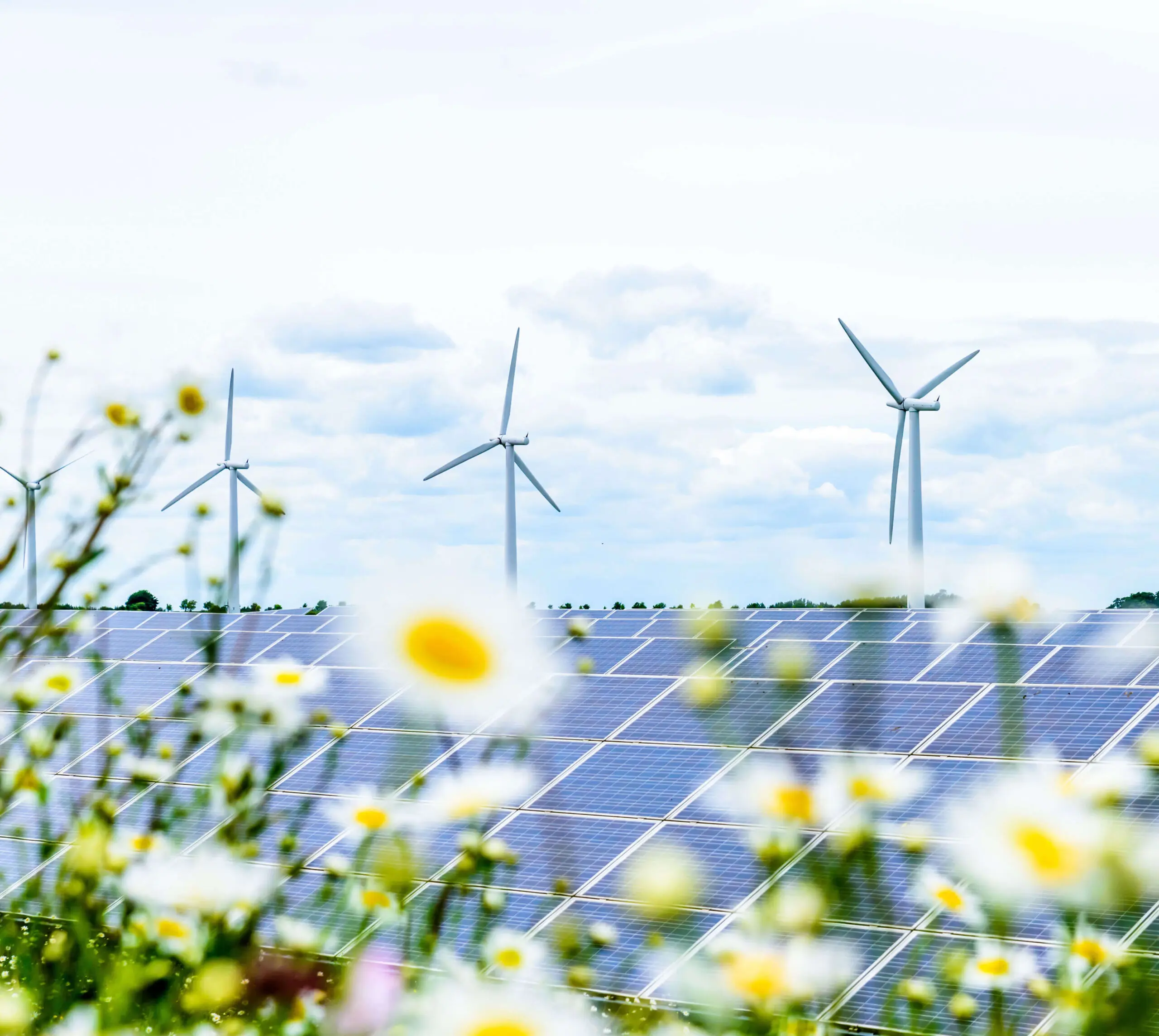 net zero services